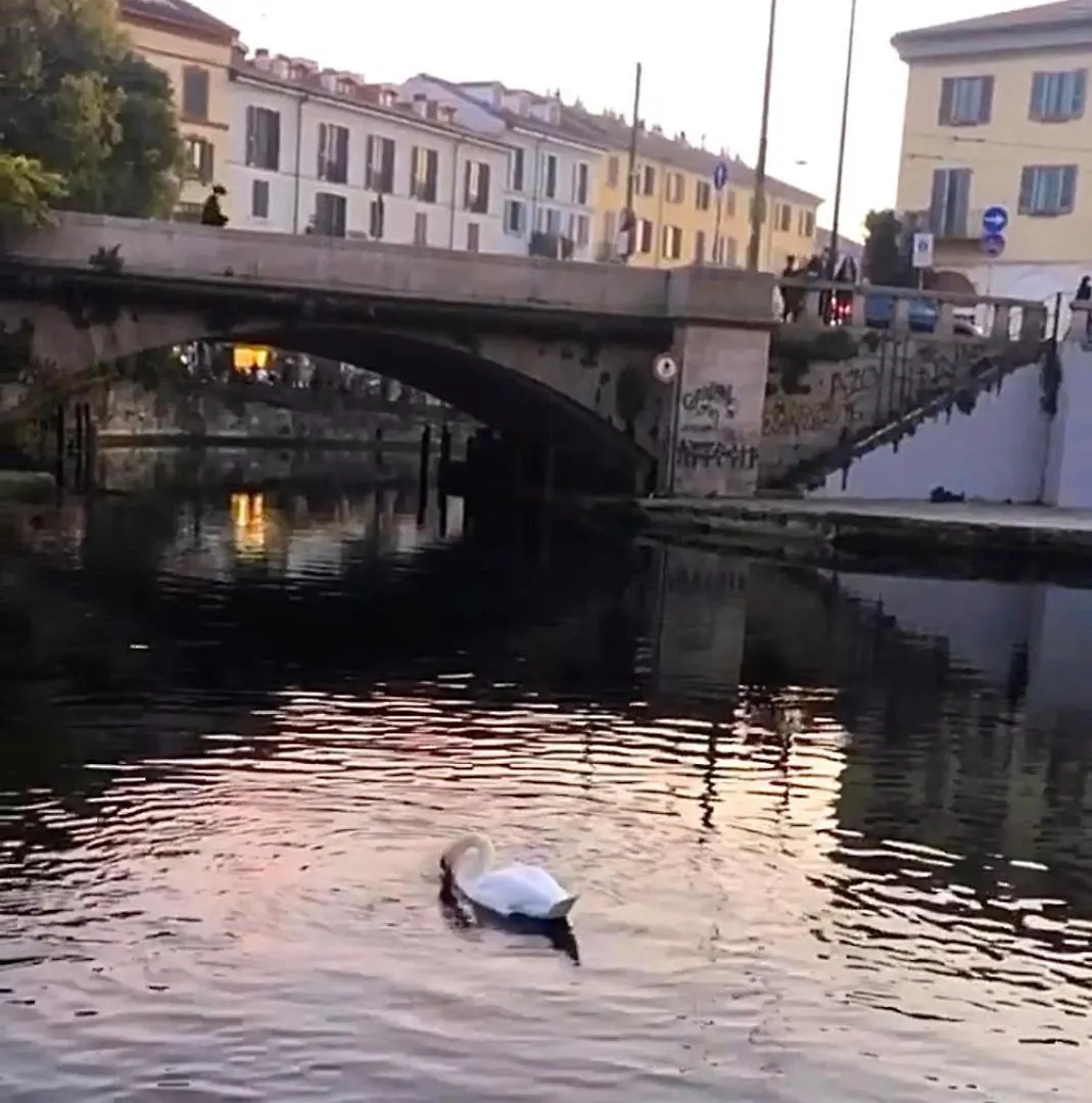 Apartament Appartamento Naviglio, Metro Blu Duomo Mediolan
